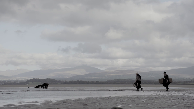 Trailer image