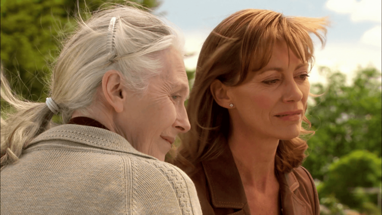 Bed of Roses Trailer image