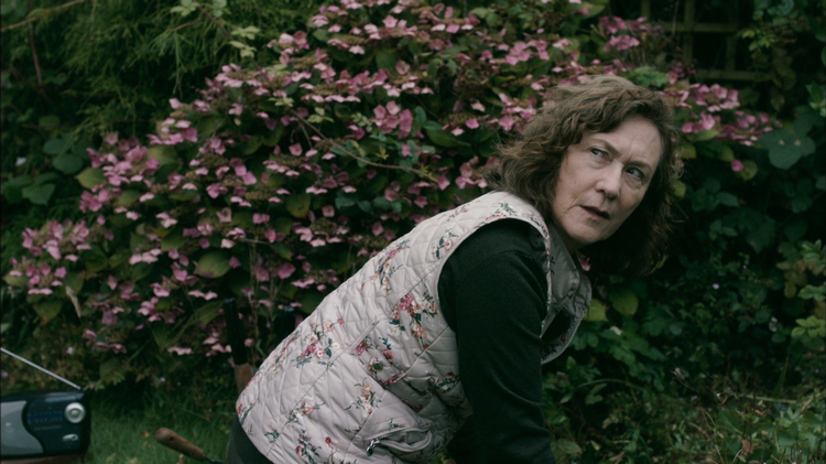 Trailer image