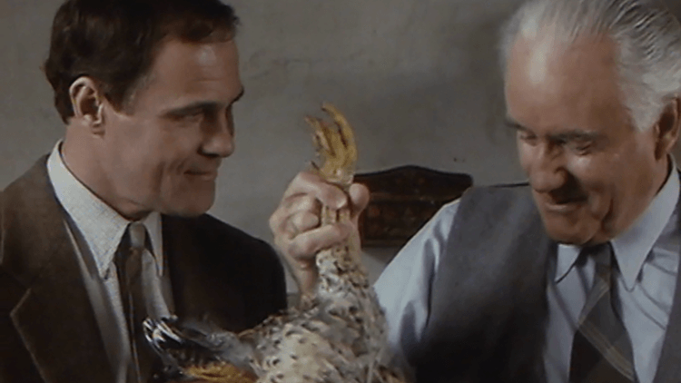 Doctor Finlay Clip image