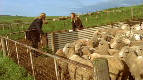 McLeod's Daughters - If the Boot Fits…