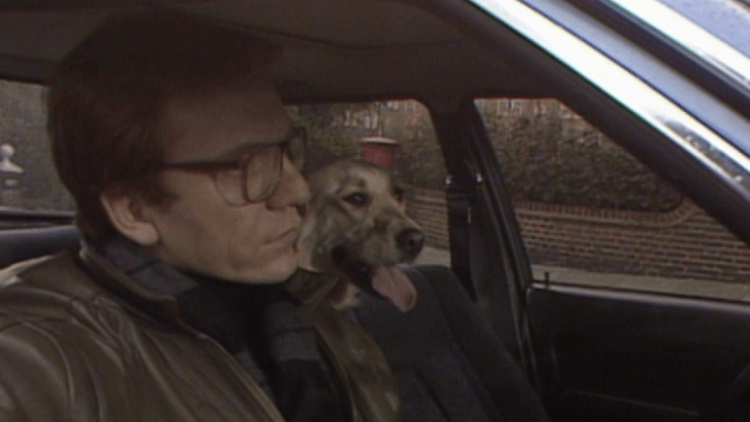 Mr. Palfrey of Westminster Trailer image