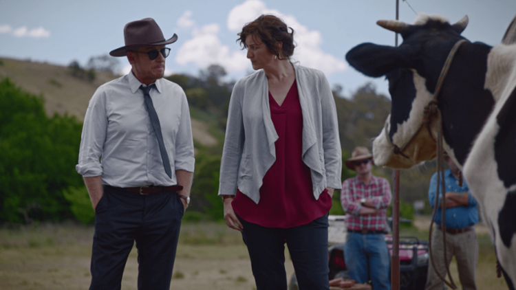 Rake Trailer image