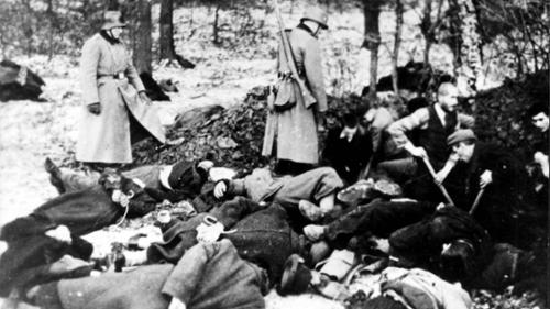 The Rise of the Nazi Party - The Final Solution