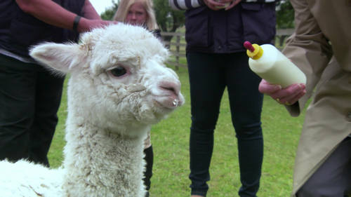 Penelope Keith's Village of the Year - Houghton and Wyton, Bretforton, Armoy, and Tissington