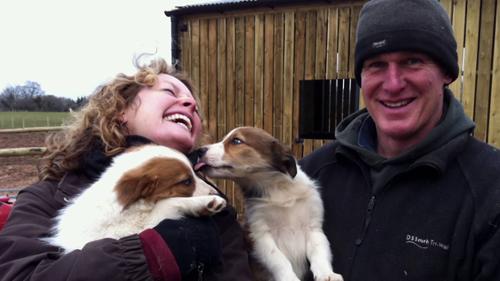 My Welsh Sheepdog - A Sheepdog Named Tag