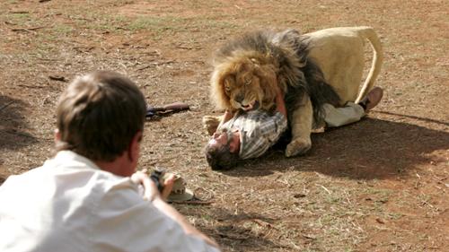 Wild at Heart - Episode 9