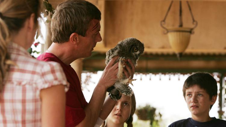 Wild at Heart Trailer image