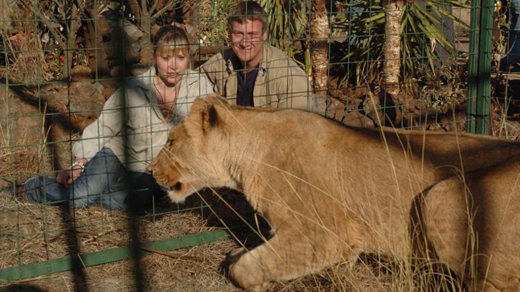 Wild at Heart Trailer image