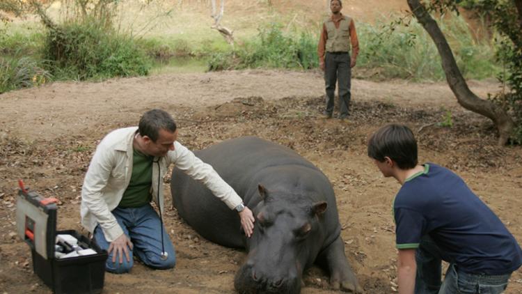 Wild at Heart Trailer image