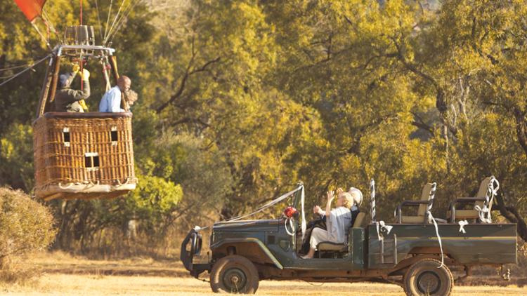 Wild at Heart Trailer image