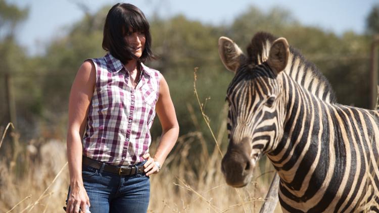 Wild at Heart Trailer image